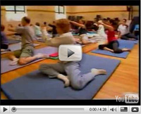 Feldenkrais Videos